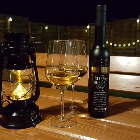 Wellness Tatry 롯지 *