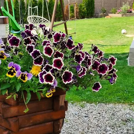 אכסניה Wellness Tatry *