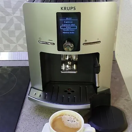 Wellness Tatry 롯지 벨카 롬니차